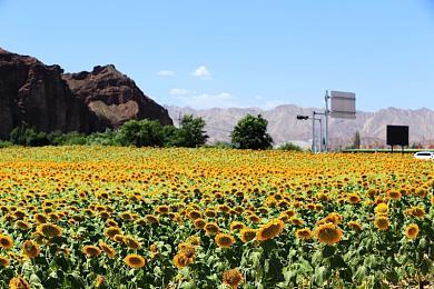 《漫威暗夜之子》Steam发售一个月后 首次降价促销